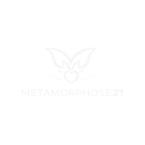 programa de emagrecimento-metamorphose21